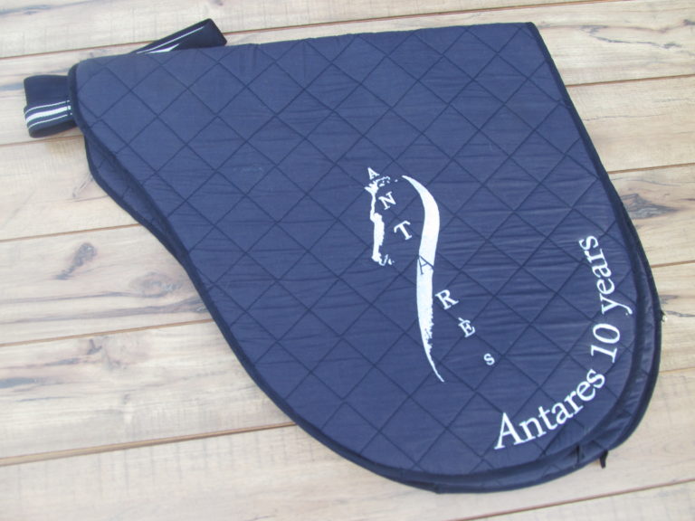 miele antares bags