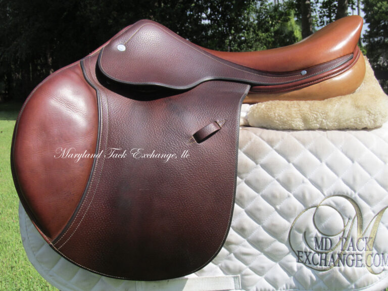 17″ Hermes Oxer, Narrow Tree (Accessories Included) - Maryland