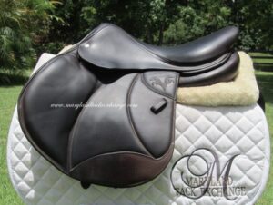 16.5" Voltaire Palm Beach Buffalo, Medium/Wide Tree (2022 Model)