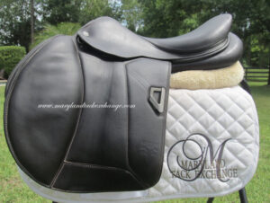 18.5" Voltaire Blue Infinite 3.0 Buffalo, Medium Tree (2024 Model)