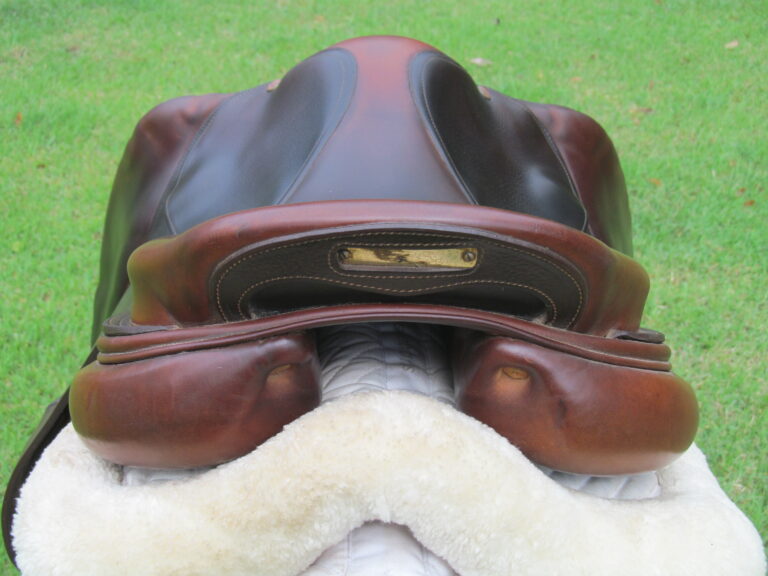 18" Bruno Delgrange Partition, Medium Tree (2018 Model) - Image 10