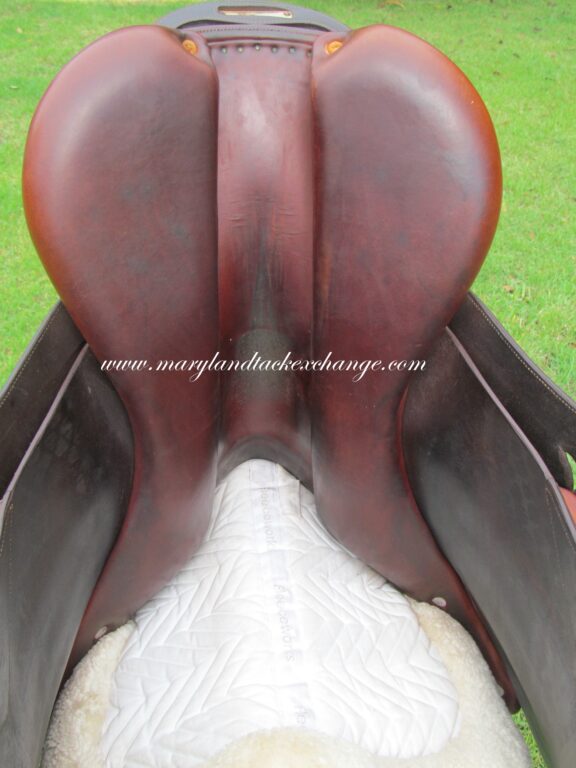 18" Bruno Delgrange Partition, Medium Tree (2018 Model) - Image 11