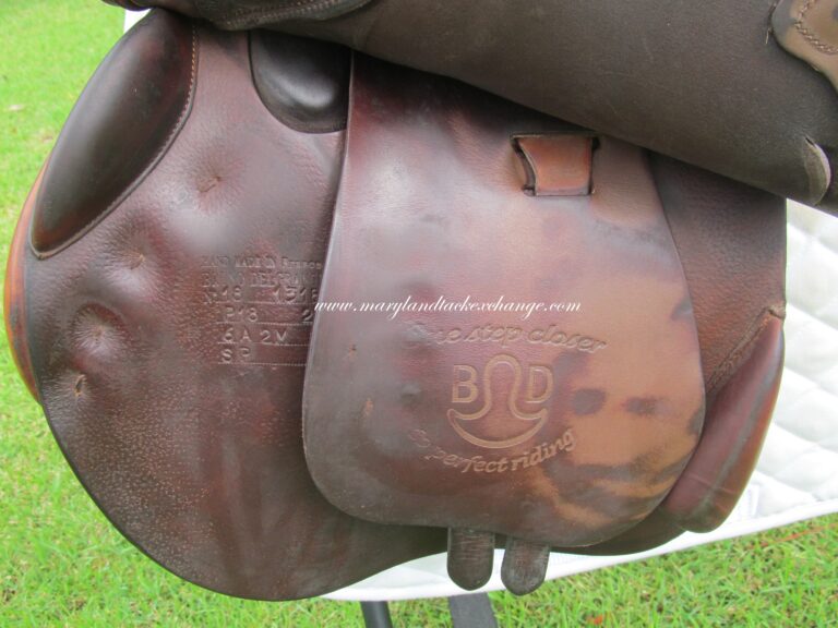 18" Bruno Delgrange Partition, Medium Tree (2018 Model) - Image 3