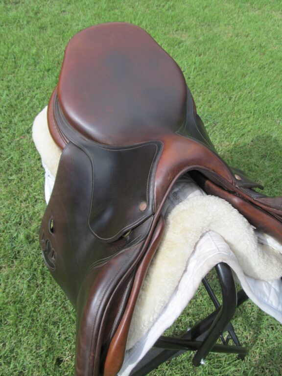 18" Bruno Delgrange Partition, Medium Tree (2018 Model) - Image 7