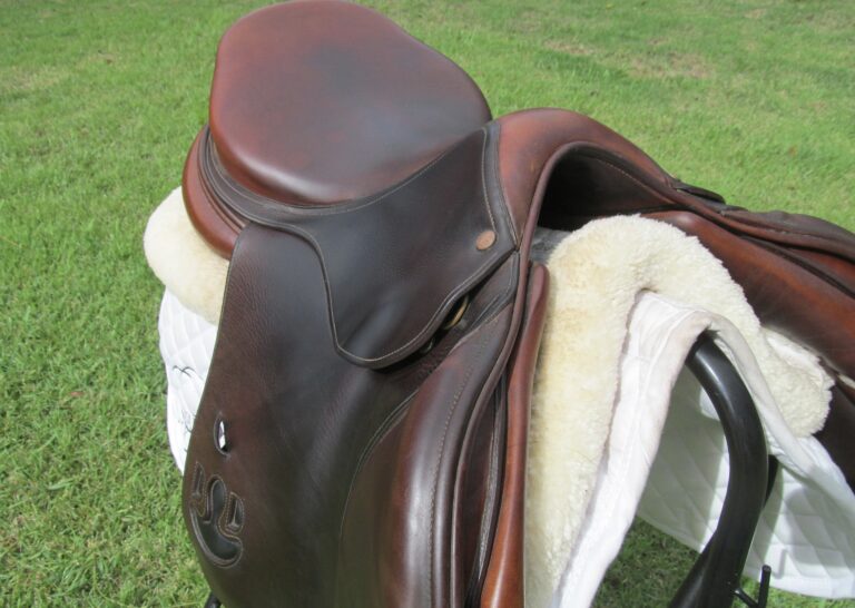 18" Bruno Delgrange Partition, Medium Tree (2018 Model) - Image 9