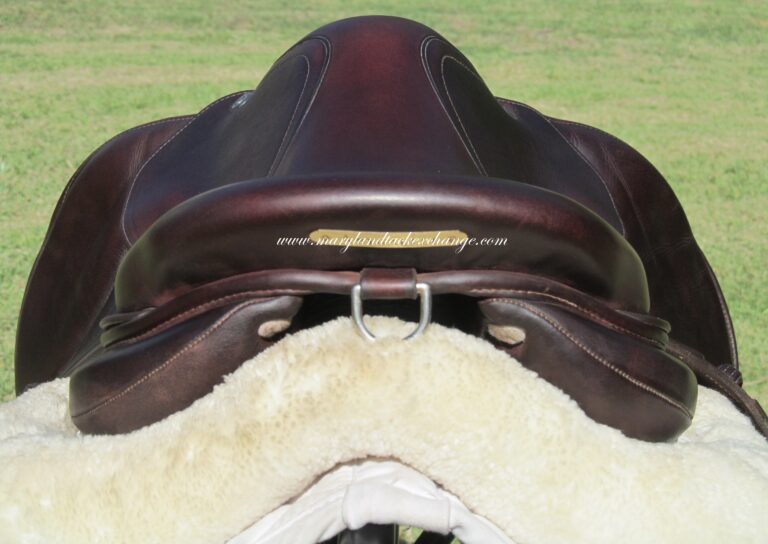 15.5" CWD SE10 Calfskin, Medium Tree (2023 Model) - Image 10