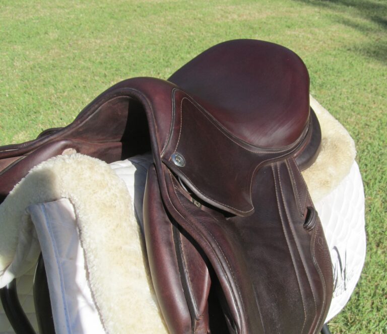 15.5" CWD SE10 Calfskin, Medium Tree (2023 Model) - Image 2