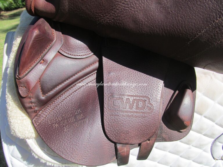 15.5" CWD SE10 Calfskin, Medium Tree (2023 Model) - Image 4