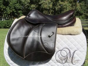 16" Voltaire Palm Beach Buffalo, Wide Tree (2020 Model)