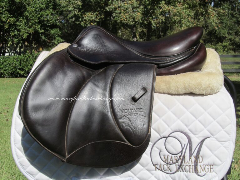 16" Voltaire Palm Beach Buffalo, Wide Tree (2020 Model)