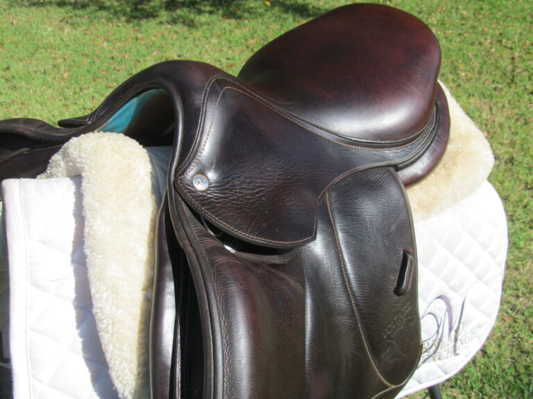 16" Voltaire Palm Beach Buffalo, Wide Tree (2020 Model) - Image 2