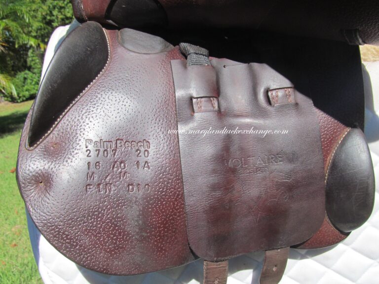 16" Voltaire Palm Beach Buffalo, Wide Tree (2020 Model) - Image 3