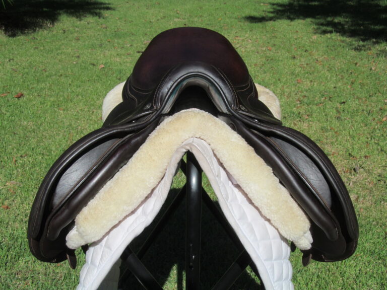 16" Voltaire Palm Beach Buffalo, Wide Tree (2020 Model) - Image 6