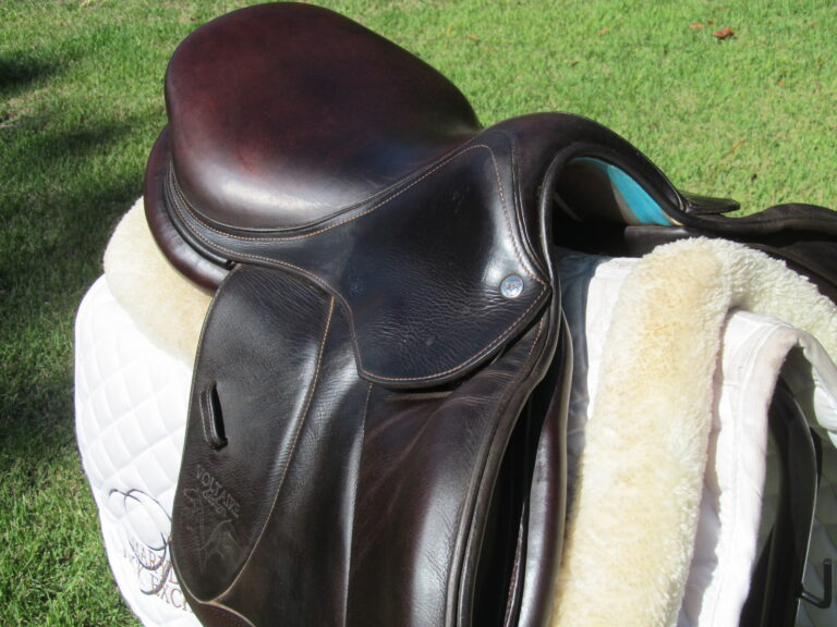 16" Voltaire Palm Beach Buffalo, Wide Tree (2020 Model) - Image 9