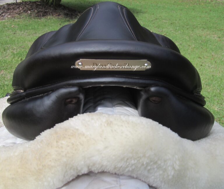 17" Voltaire Palm Beach Buffalo, Medium/Wide Tree (2022 Model) - Image 10