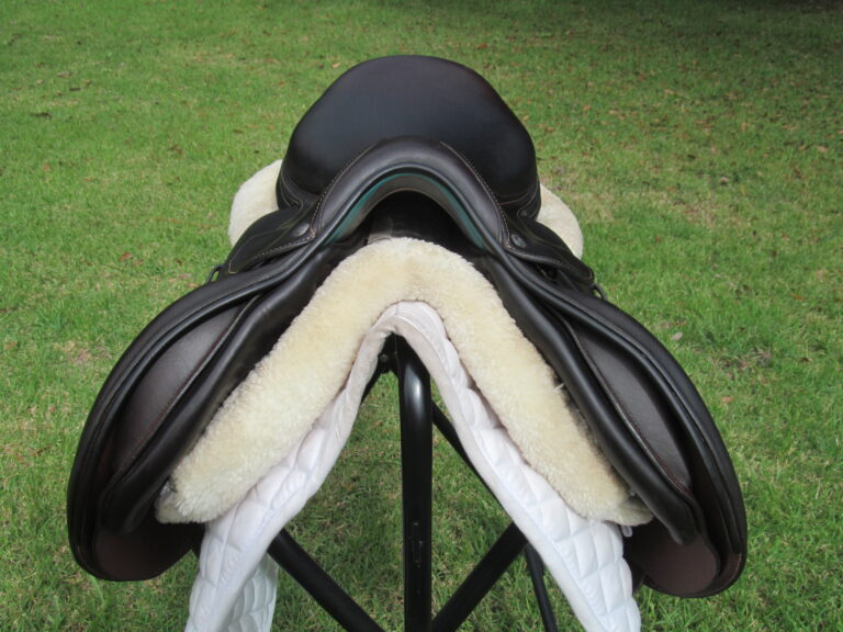 17" Voltaire Palm Beach Buffalo, Medium/Wide Tree (2022 Model) - Image 6