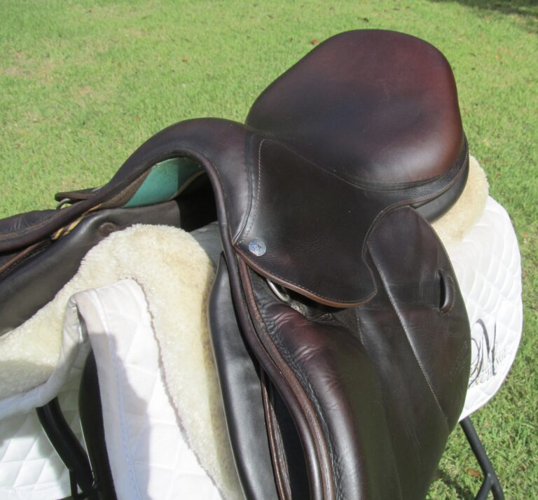 17/17.5" Voltaire Palm Beach Calf, Medium Tree (2013 Model) - Image 2