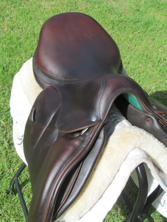 17/17.5" Voltaire Palm Beach Calf, Medium Tree (2013 Model) - Image 7