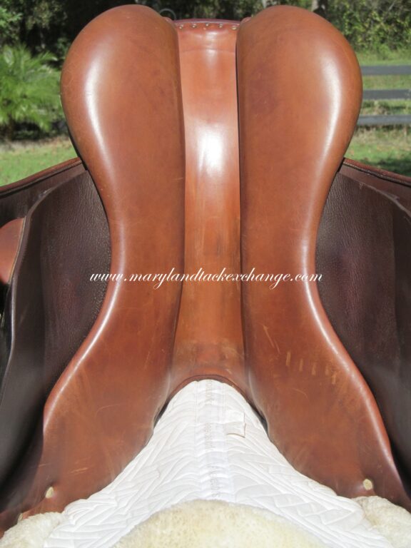 17" Antares Calfskin, Medium Tree - Image 11