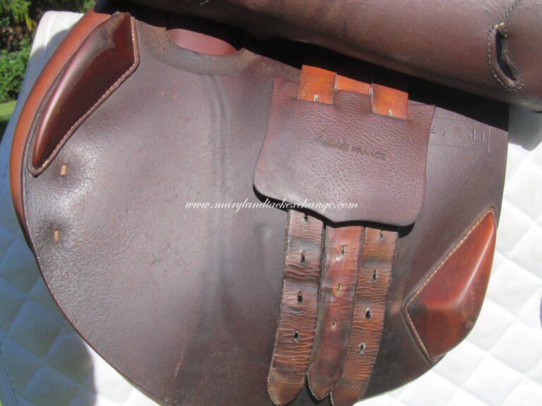 17" Antares Calfskin, Medium Tree - Image 4