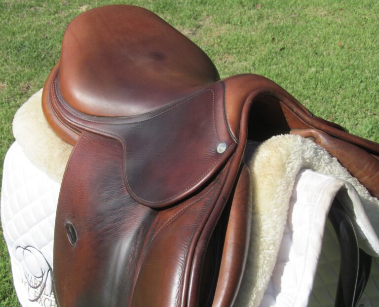 17" Antares Calfskin, Medium Tree - Image 9