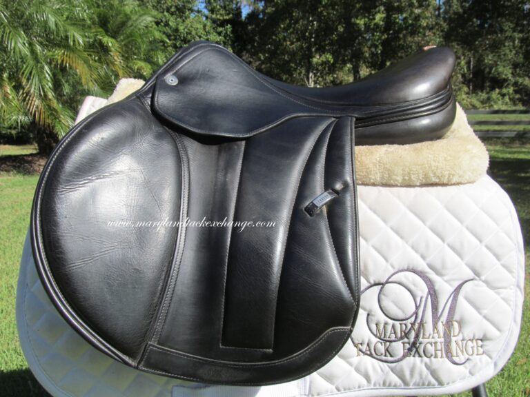 17" Equipe Special One (Black), Medium Tree