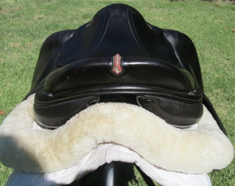 17" Equipe Special One (Black), Medium Tree - Image 10