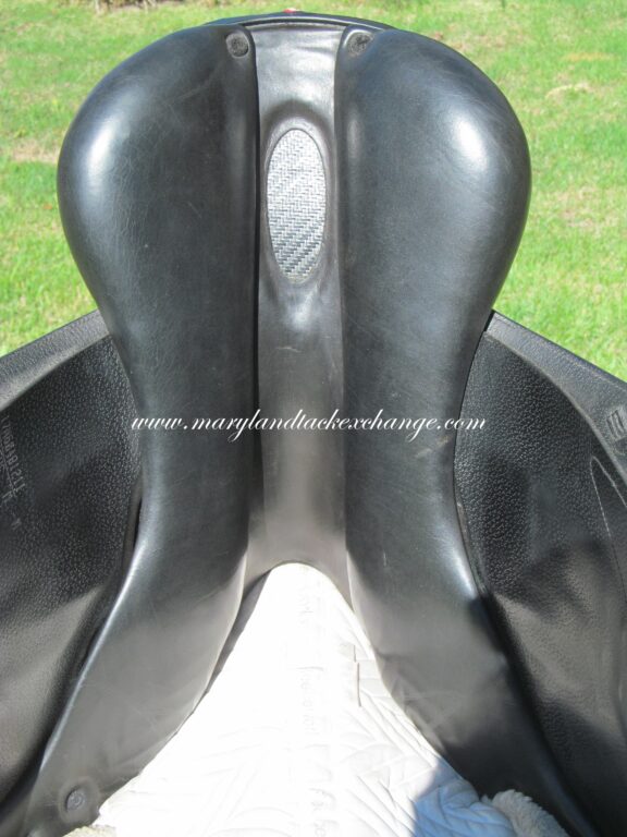 17" Equipe Special One (Black), Medium Tree - Image 11