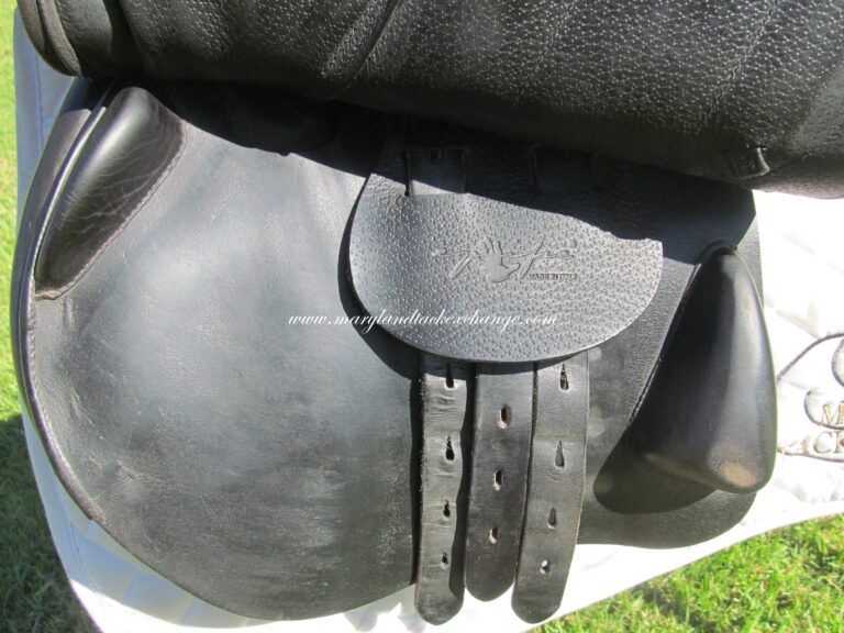 17" Equipe Special One (Black), Medium Tree - Image 3