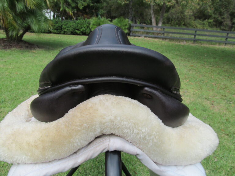 18" Voltaire Blue Infinite Buffalo, Medium Tree (2019 Model) - Image 10