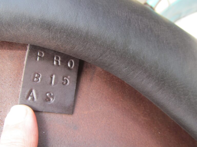 18" Voltaire Blue Infinite Buffalo, Medium Tree (2019 Model) - Image 6