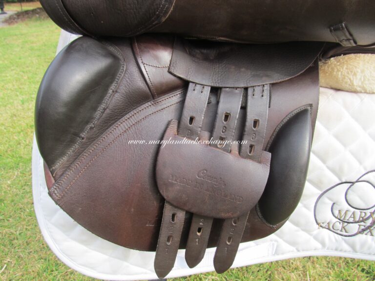 17" County Innovation, Wide Tree - Image 3