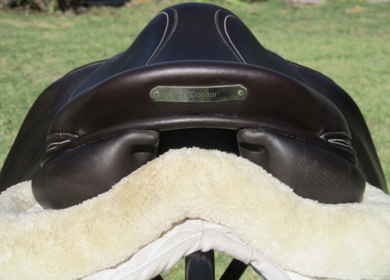 17" Voltaire Palm Beach Buffalo, Medium/Wide Tree (2023 Model) - Image 10