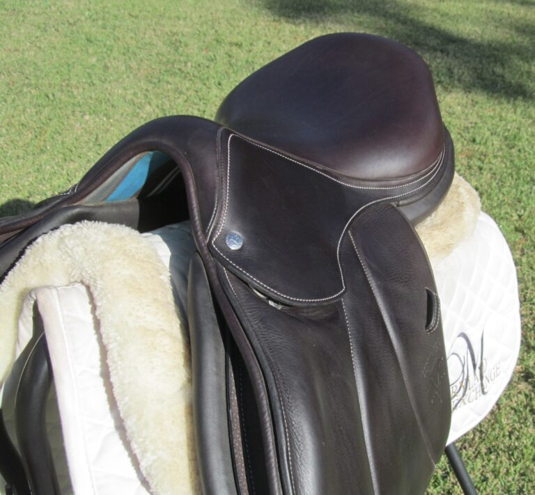 17" Voltaire Palm Beach Buffalo, Medium/Wide Tree (2023 Model) - Image 3