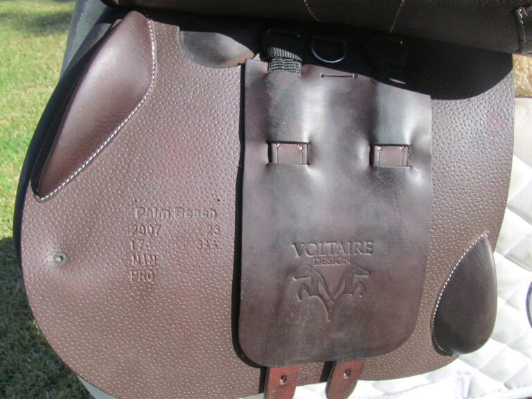 17" Voltaire Palm Beach Buffalo, Medium/Wide Tree (2023 Model) - Image 5