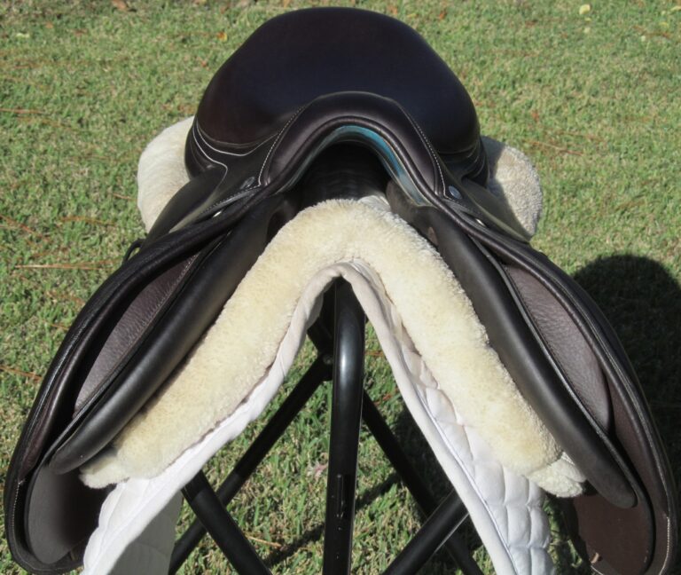 17" Voltaire Palm Beach Buffalo, Medium/Wide Tree (2023 Model) - Image 7