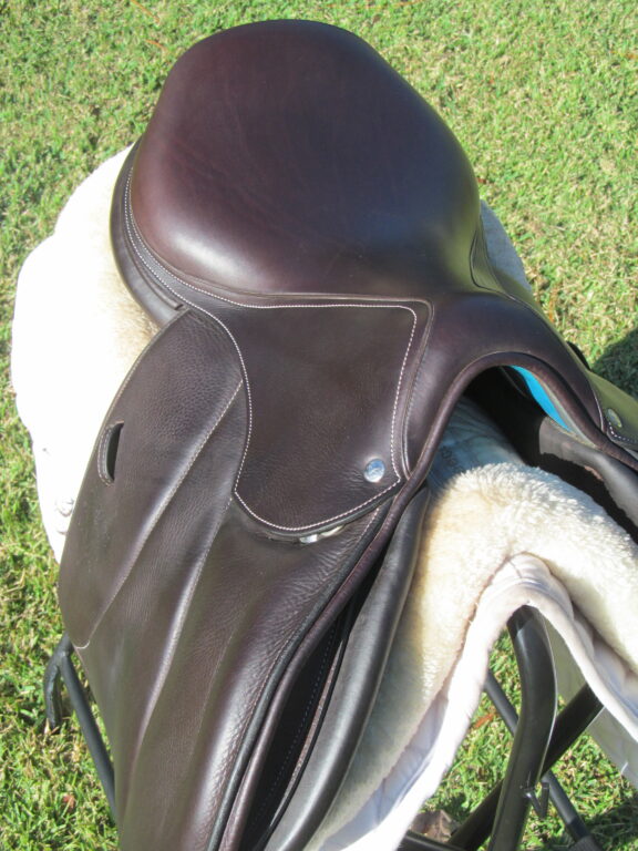 17" Voltaire Palm Beach Buffalo, Medium/Wide Tree (2023 Model) - Image 8