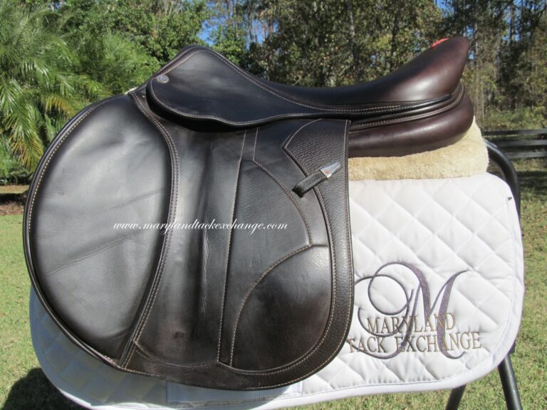 18" Equipe Evolution, Medium/Wide Tree (2022 Model)