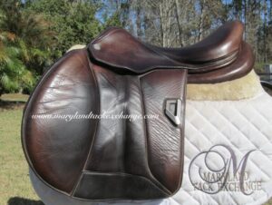 17.5” Voltaire Blue Infinite 3.0, Medium Tree (2023 Model)