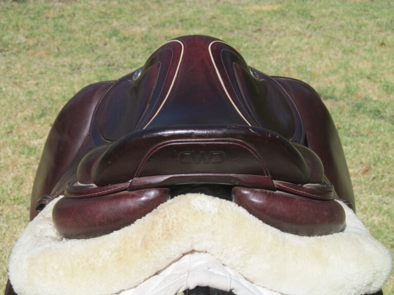 17” CWD SE32 2Gs Mademoiselle, Medium/Narrow Tree (2024 Model) - Image 11