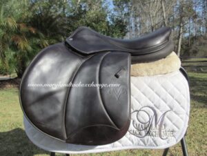 18” Voltaire Palm Beach Buffalo, Medium Tree (2019 Model)