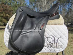 17" Aviar Rook 2.0, Medium/Adjustable Tree (2024 Model)