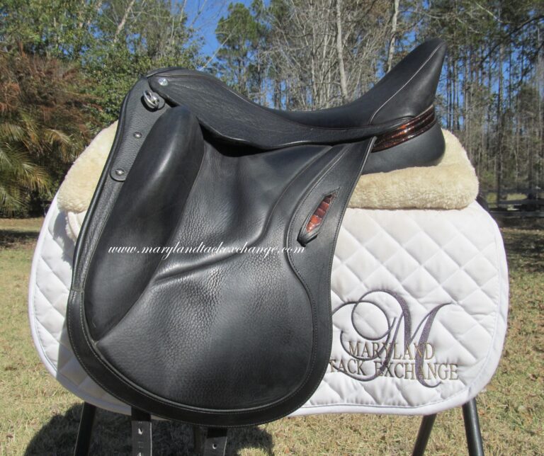 17" Aviar Rook 2.0, Medium/Adjustable Tree (2024 Model)