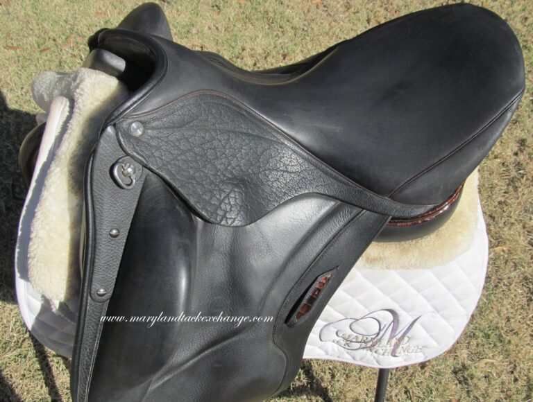 17" Aviar Rook 2.0, Medium/Adjustable Tree (2024 Model) - Image 5