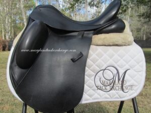 16.5" County Epiphany, Wide Tree (2022 Model)