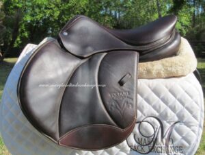 16" Voltaire Palm Beach Buffalo, Medium/Wide Tree (2021 Model)