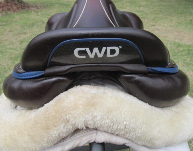 17.5" CWD SE32 Mademoiselle 2Gs, Medium Tree (2019 Model) - Image 10