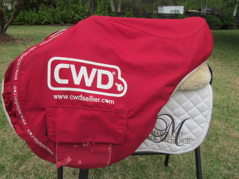 17.5" CWD SE32 Mademoiselle 2Gs, Medium Tree (2019 Model) - Image 12