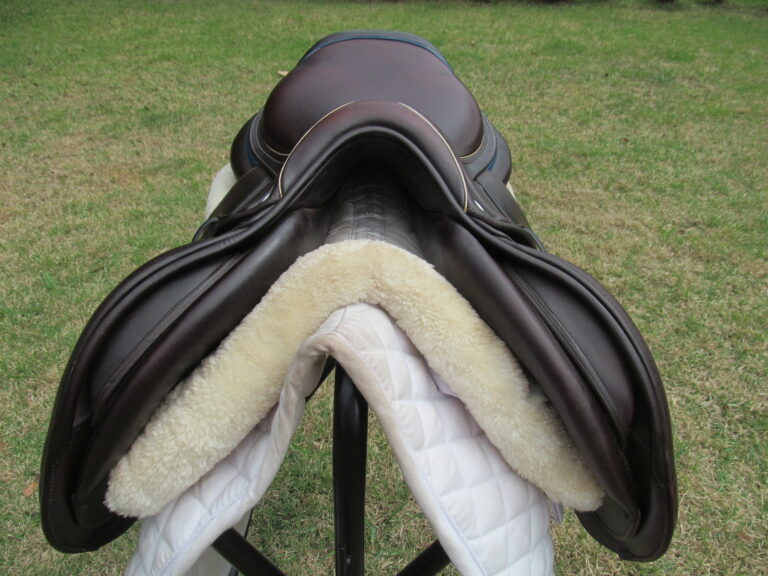 17.5" CWD SE32 Mademoiselle 2Gs, Medium Tree (2019 Model) - Image 6