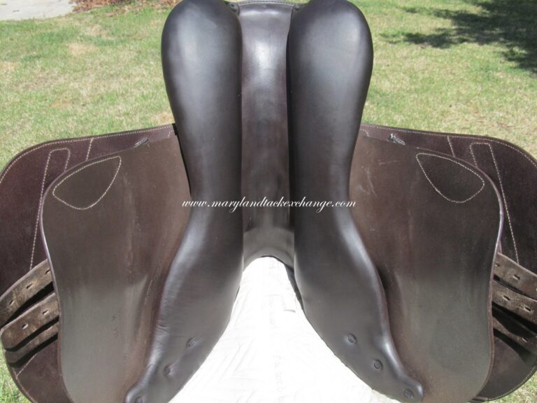 17" Prestige Renaissance M, Medium Tree (2022 Model) - Image 11